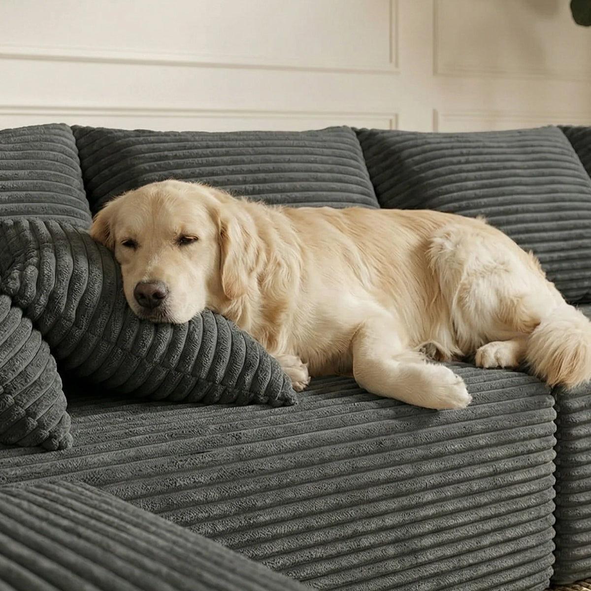 118-inch U-Shaped Sofa Bed, minimalist boneless design with no assembly required. Modular combination, skin-friendly velvet fabr